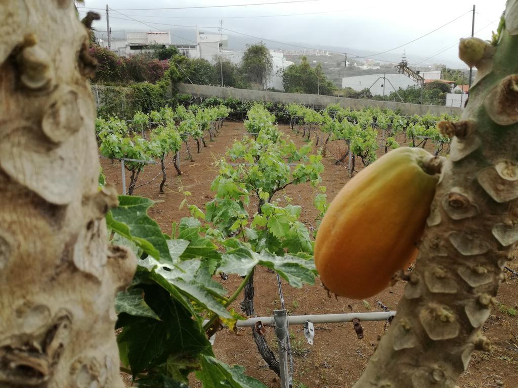 Vinas Casa vacanze